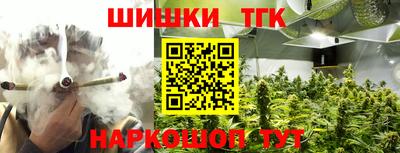 индика Сланцы