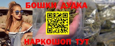 индика Сланцы