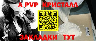 индика Сланцы