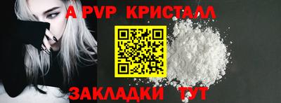индика Сланцы