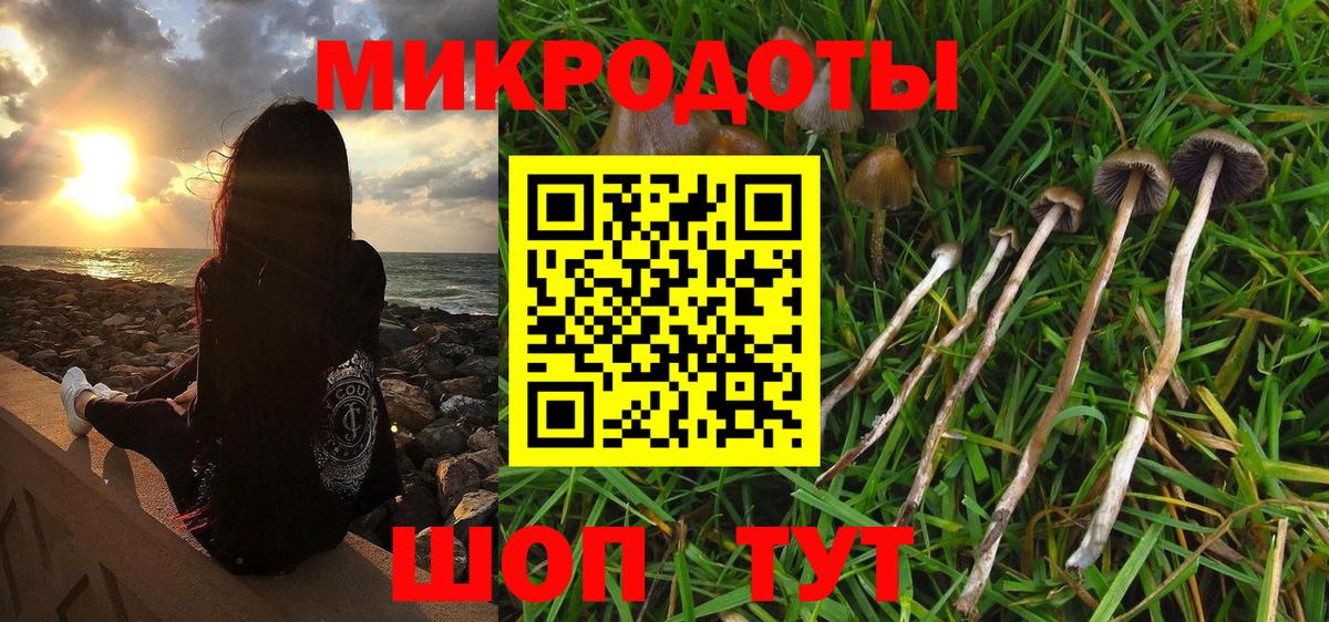 Нефтекумск  Псилоцибиновые грибы Cubensis  Вход с VPN 