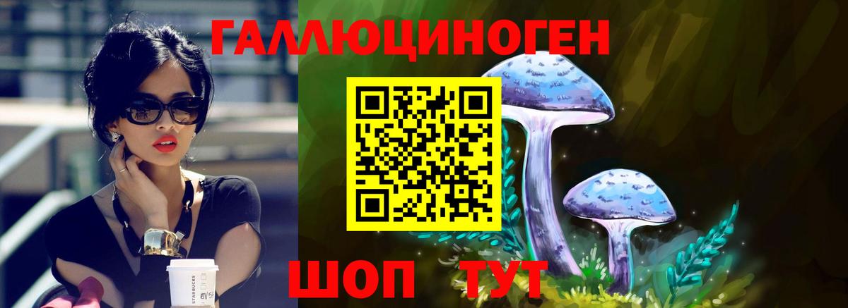 Псилоцибиновые грибы ЛСД Нефтекумск